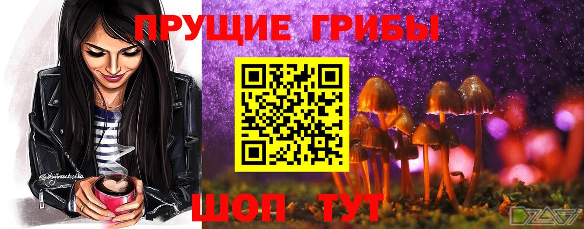 Псилоцибиновые грибы Psilocybine cubensis Кудрово