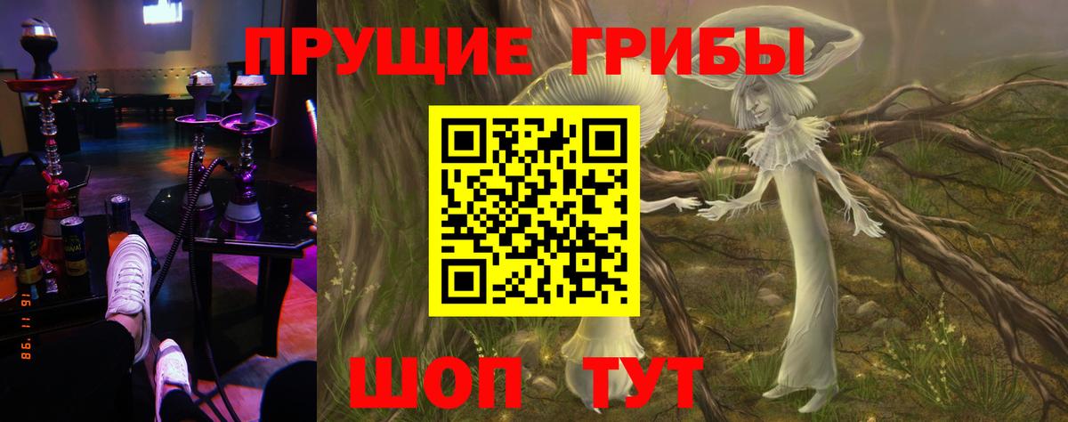 дарнет шоп  Псилоцибиновые грибы MAGIC MUSHROOMS  Кудрово  Вход с VPN  Псилоцибиновые грибы Psilocybe 